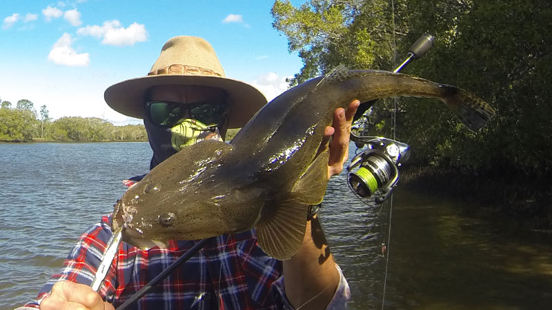 Maroochydore Flathead from a small feeder creek on the run out tide in the Maroochy River