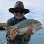 Blue Bone Tusk Fish a surface lure