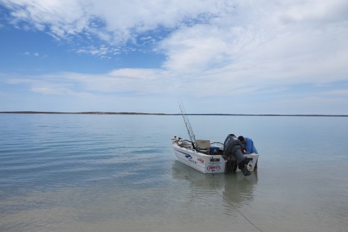 Shark Bay Weather