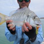 Bream on a popper at Shark Bay