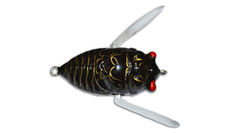 The AusTackle Insekta Cicada Lure - Know where to use this lure