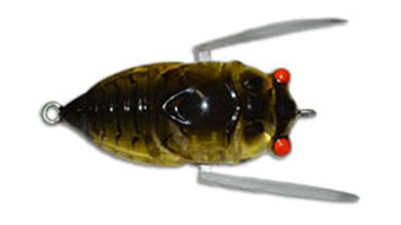 The AusTackle Insekta Cicada Lure - Know where to use this lure - Fishing  Spots