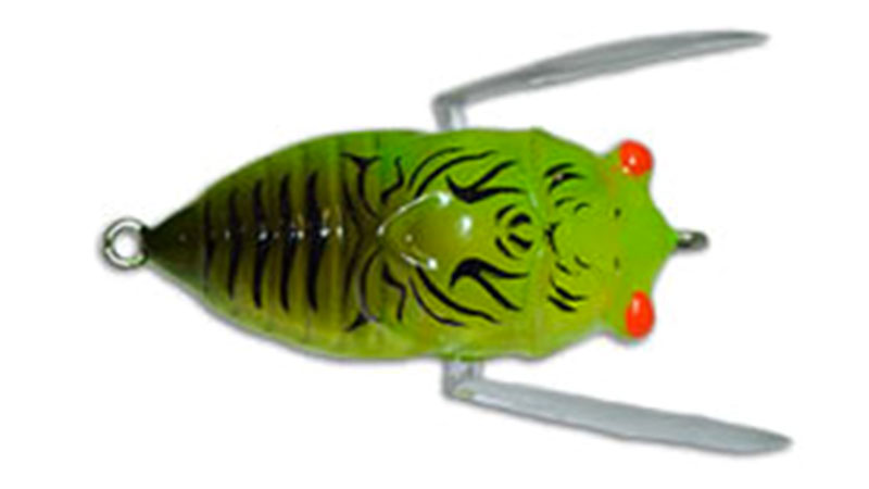 Insekta Cicada Lure