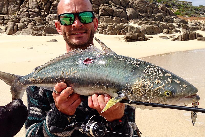 Margaret River Australian Salmon