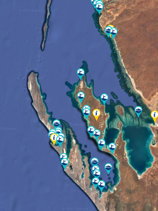 Sharkbay Fishing Spots