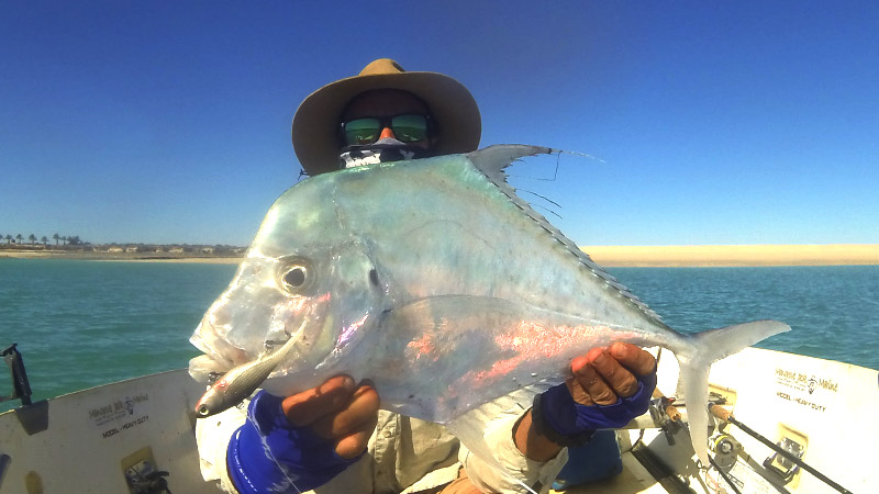 Good sized Queenfish from Whale Rock, just offshore from Broome