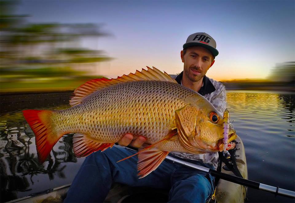 Mangrove Jack fishing Gold Coast