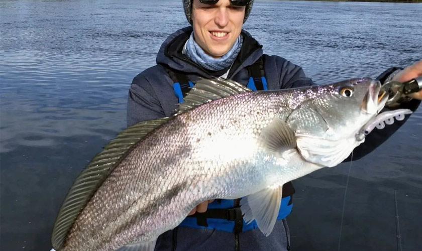 @estuaryfishingwithwill with a nice jewfish from Clarence River